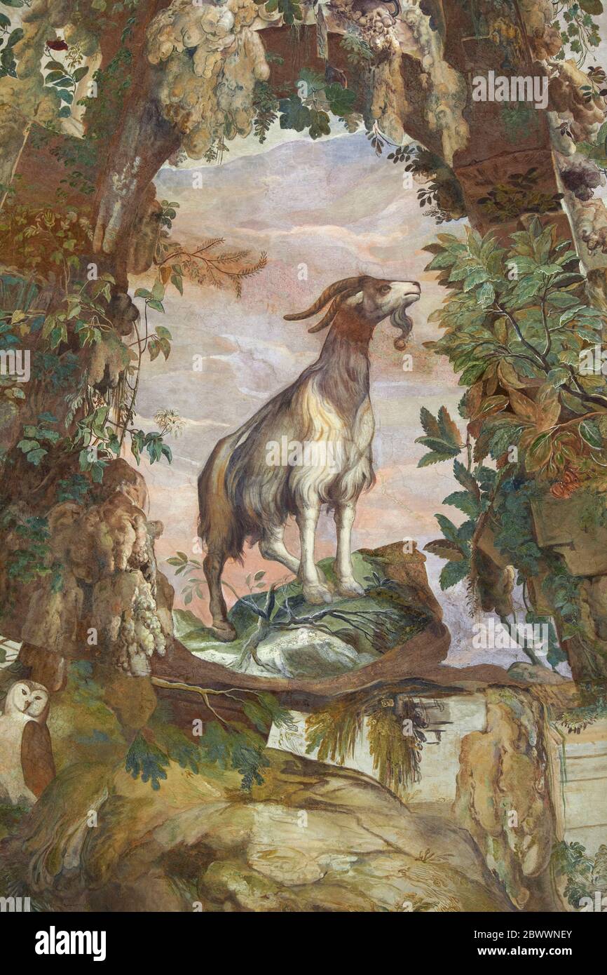 Italie, Florence. Jardins Boboli, grotte de Buontalenti (également connue sous le nom de Grotta Grande ou Grande Grotto), 1583-1593. La première chambre avec sculptures et Banque D'Images