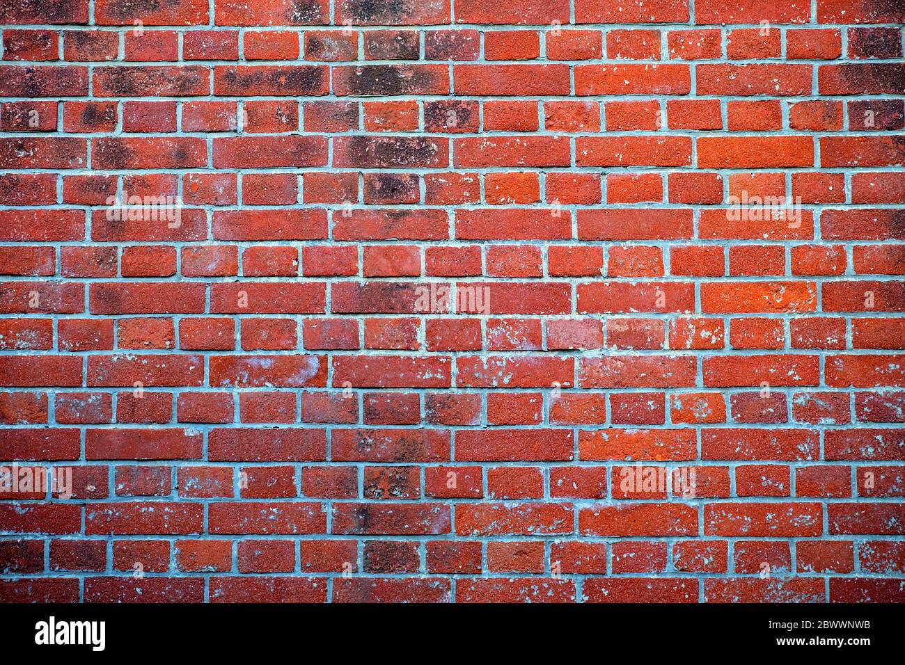 Vieux Mur Texture Background. Banque D'Images