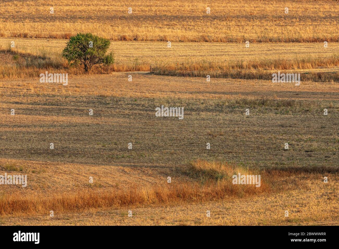 Italie Sardaigne - Marmilla paysage et campagne Banque D'Images