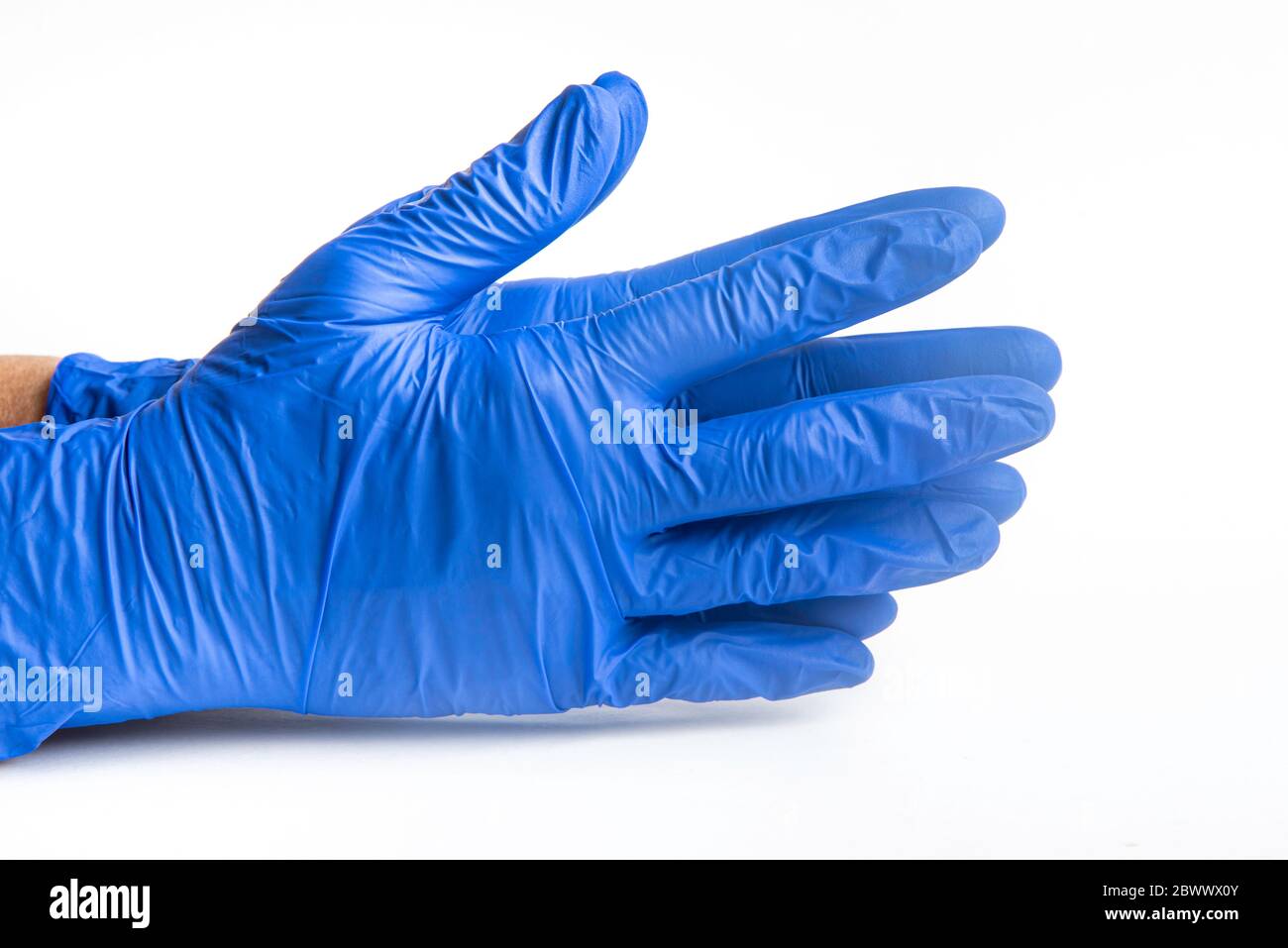 Mains portant des gants jetables en latex bleu sur fond blanc Uni. Banque D'Images