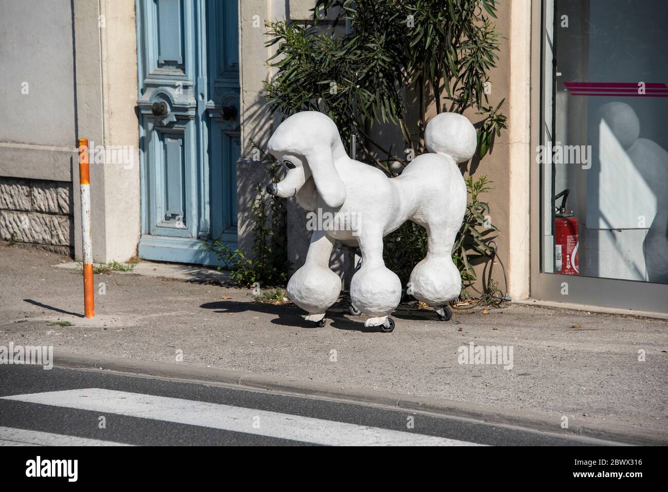 Maquette Poodle magasin extérieur dans la rue Aigues-mortes France Banque D'Images