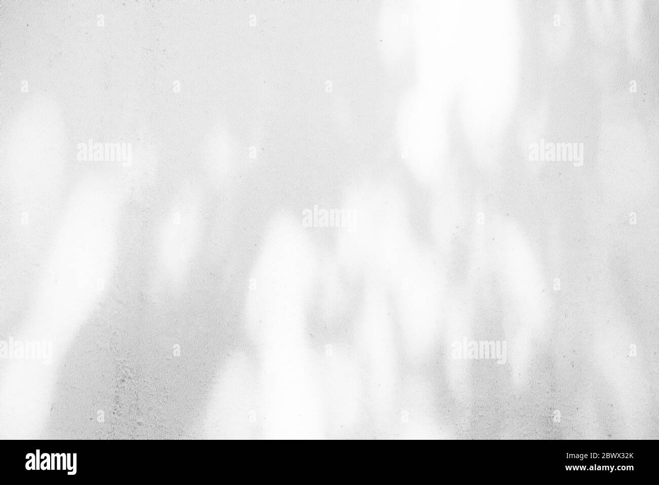 Fond de texture de mur en béton blanc avec bokeh clair et branche ombre d'arbre sur la surface. Banque D'Images