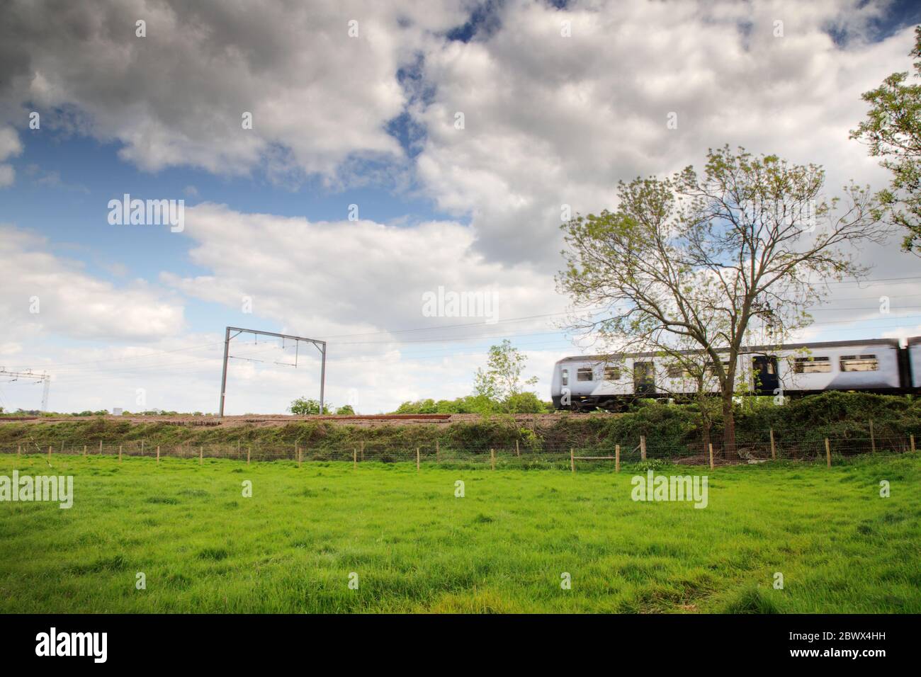 train passant par un cadre magnifique, image de paysage de la campagne d'essex Banque D'Images