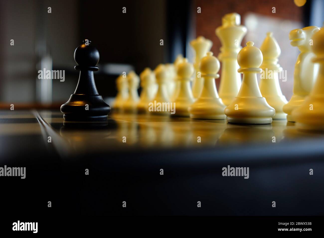 Face à la paon noire contre les pièces blanches, adaptée au concept d'entreprise. Banque D'Images