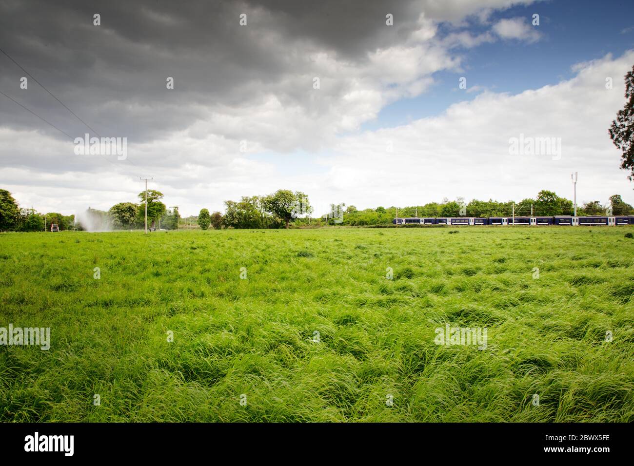 train passant par un cadre magnifique, image de paysage de la campagne d'essex Banque D'Images