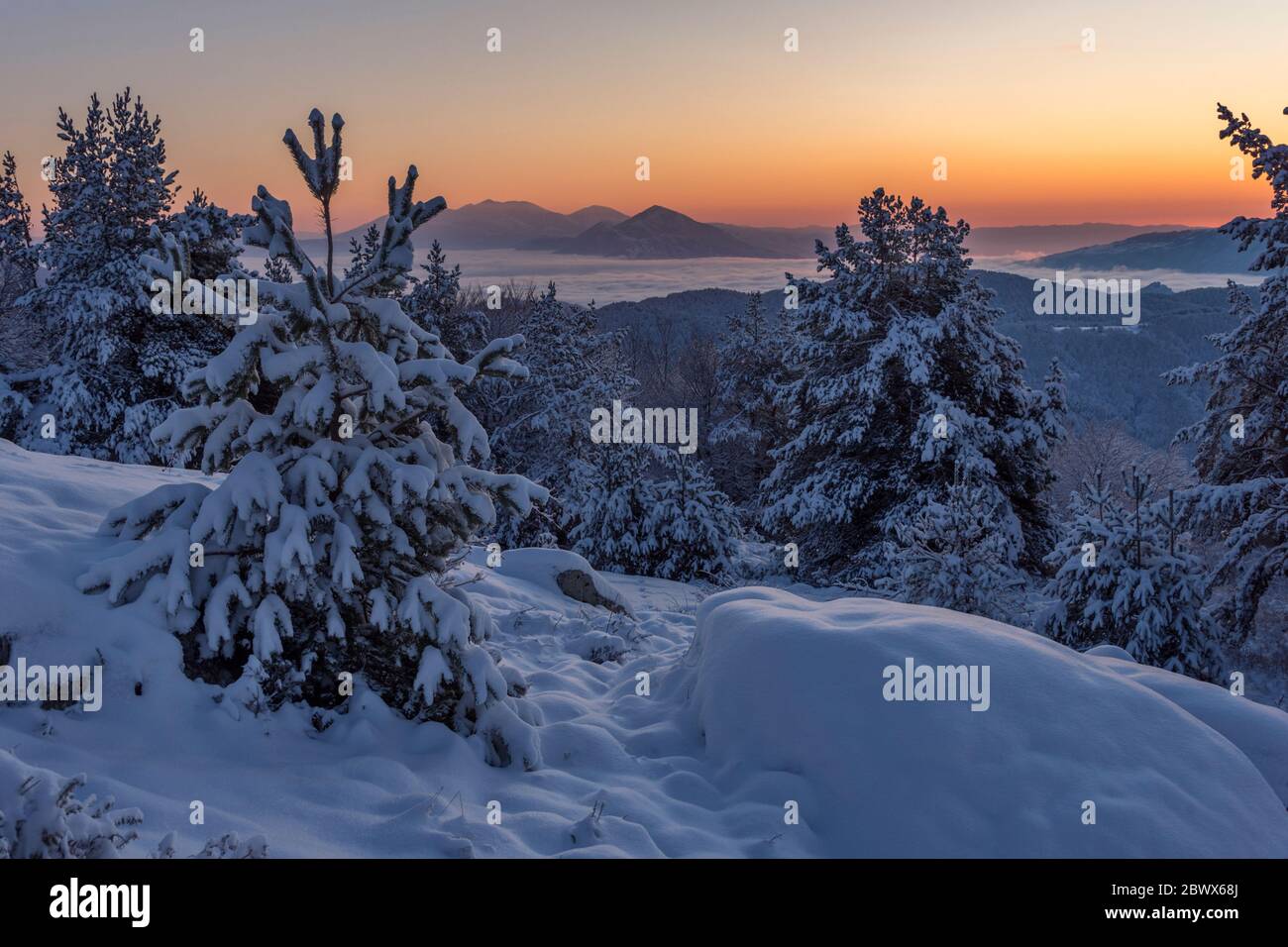 Aube dans la forêt dans les montagnes en hiver Banque D'Images