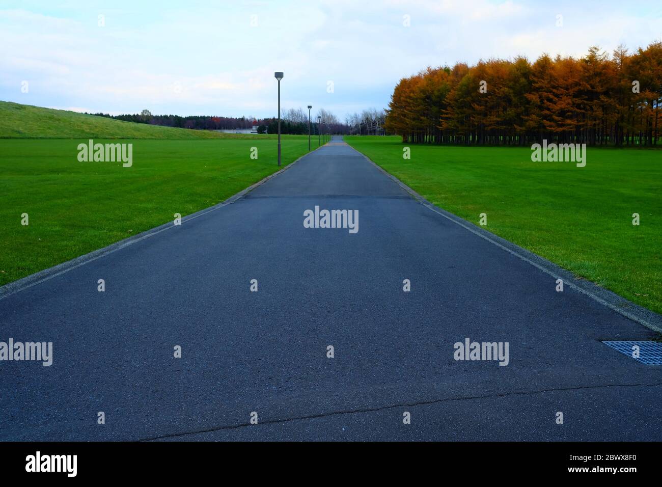 Long Asphalt Road dans le parc Moerenuma Sapporo, Hokkaido Japon. Banque D'Images