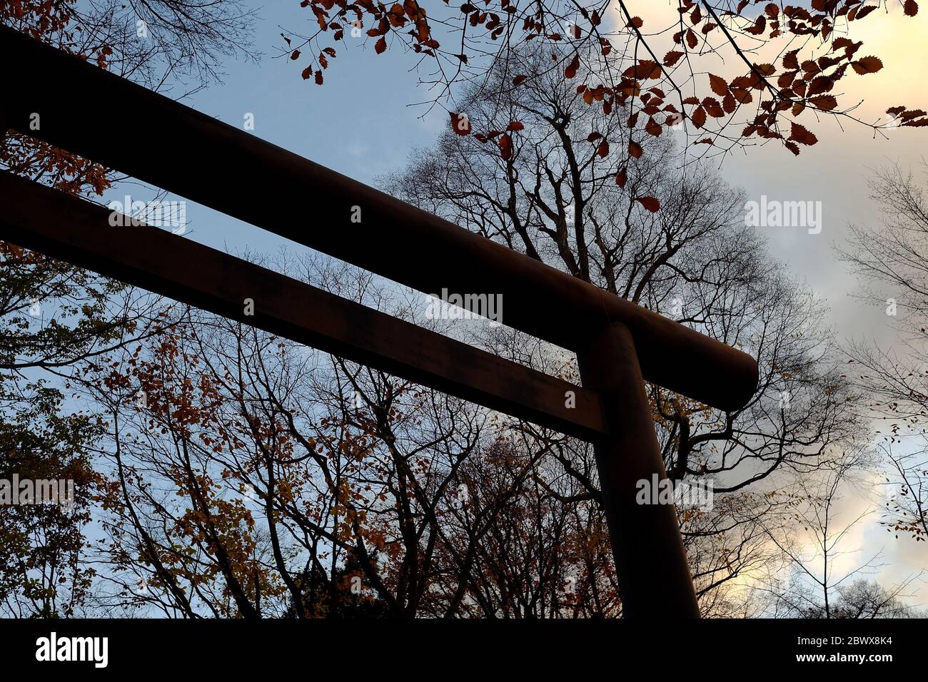 Vue de dessous de Torii en Nuageux. Torii est le temple traditionnel de la porte de Shinto au Japon. Banque D'Images