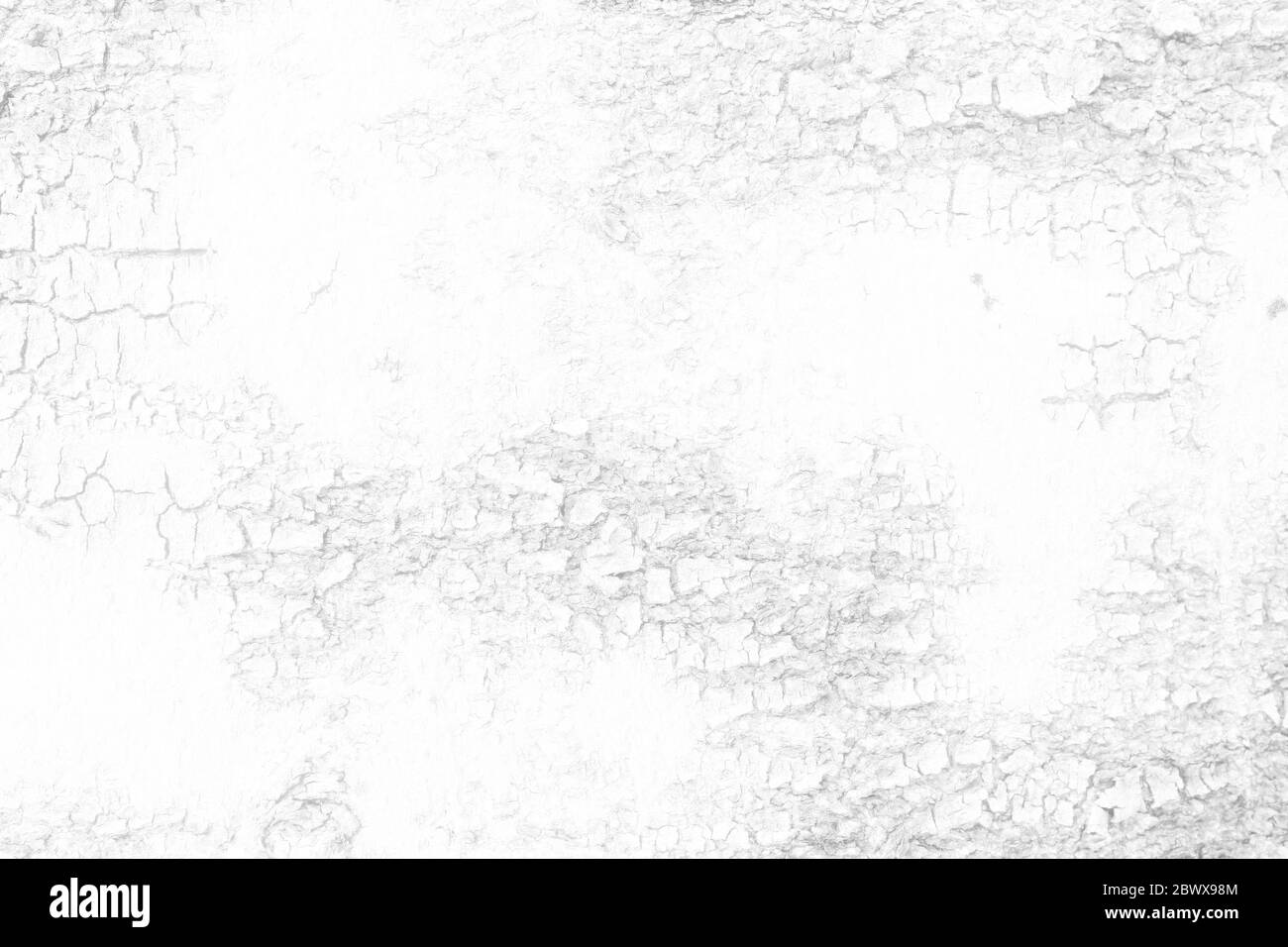 Fond blanc texturé de l'écorce, adapté à la présentation et à la toile de fond. Banque D'Images