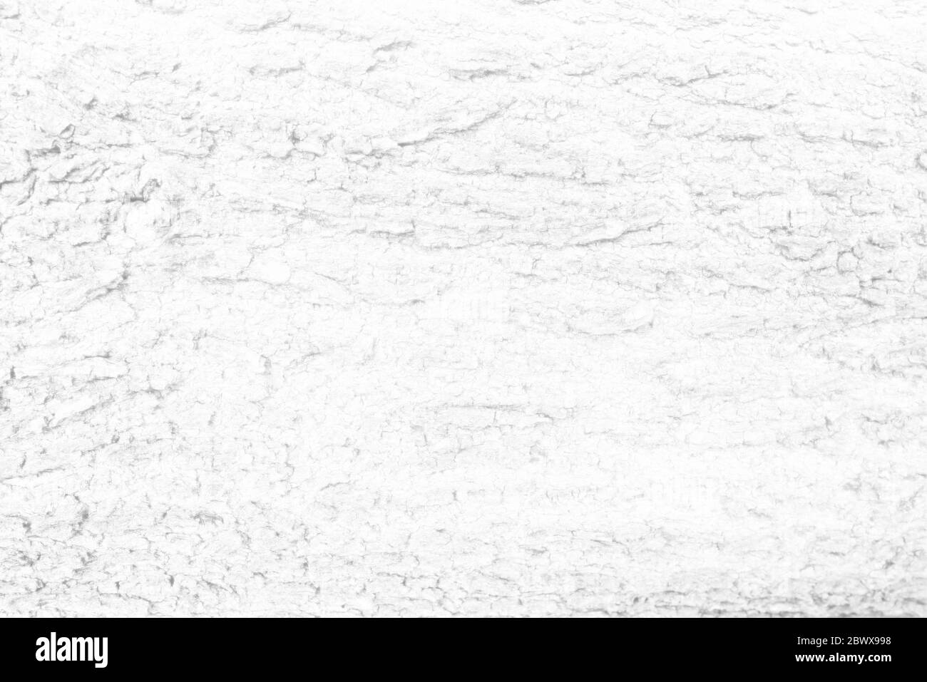 Fond blanc texturé de l'écorce, adapté à la présentation et à la toile de fond. Banque D'Images