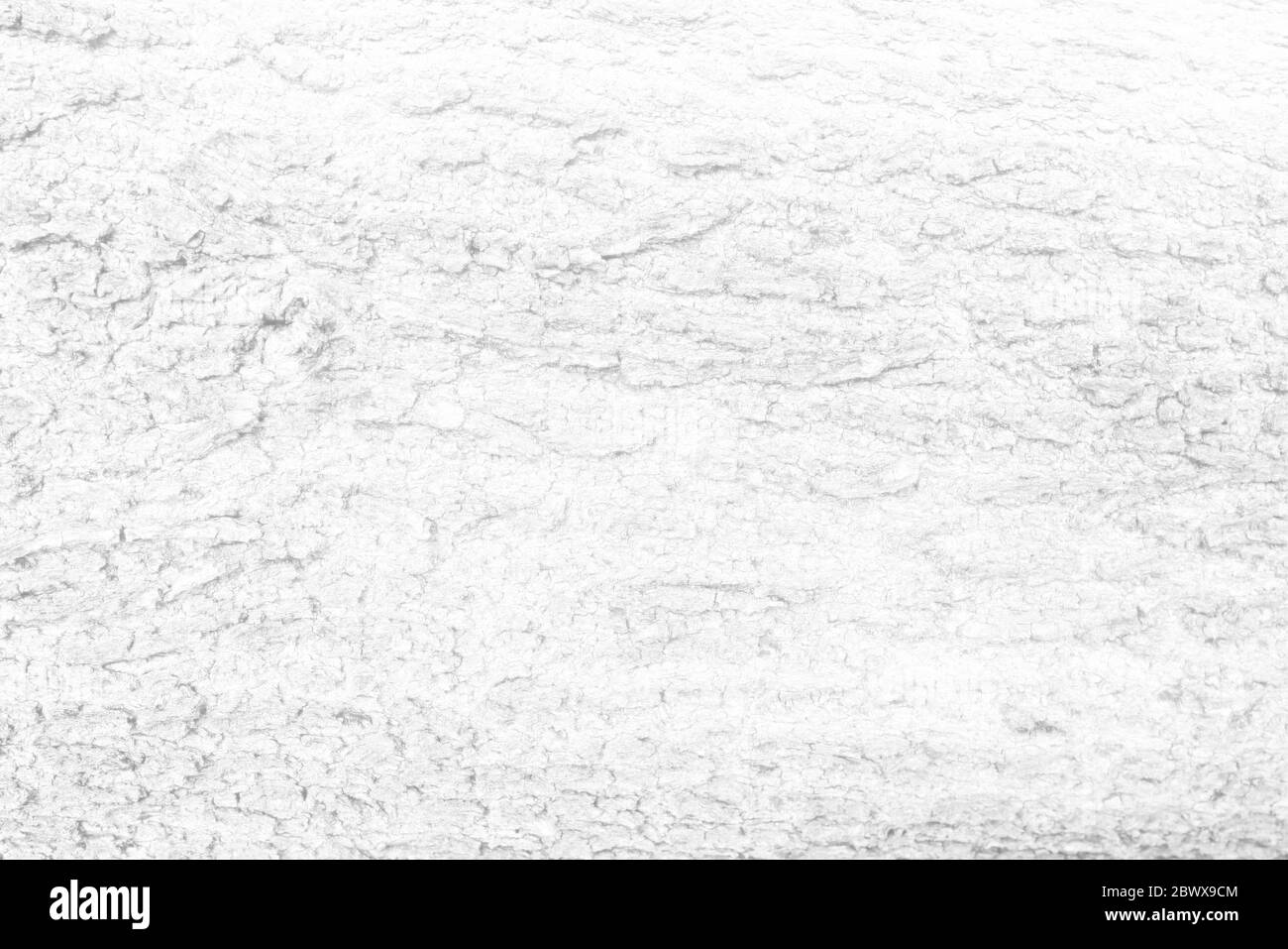 Fond blanc texturé de l'écorce, adapté à la présentation et à la toile de fond. Banque D'Images