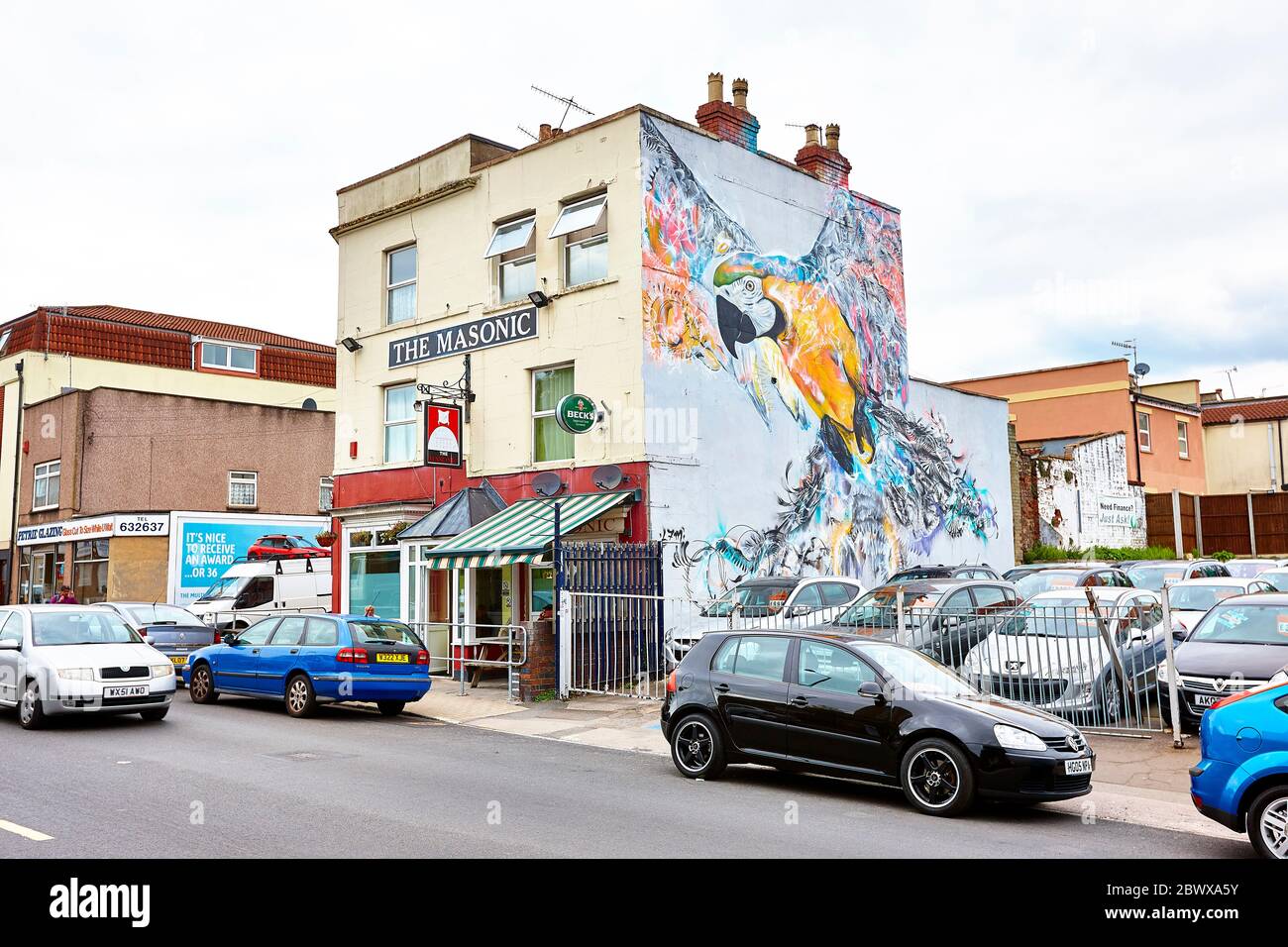 Murale bleue perroquet à Bristol, Royaume-Uni, Angleterre Banque D'Images