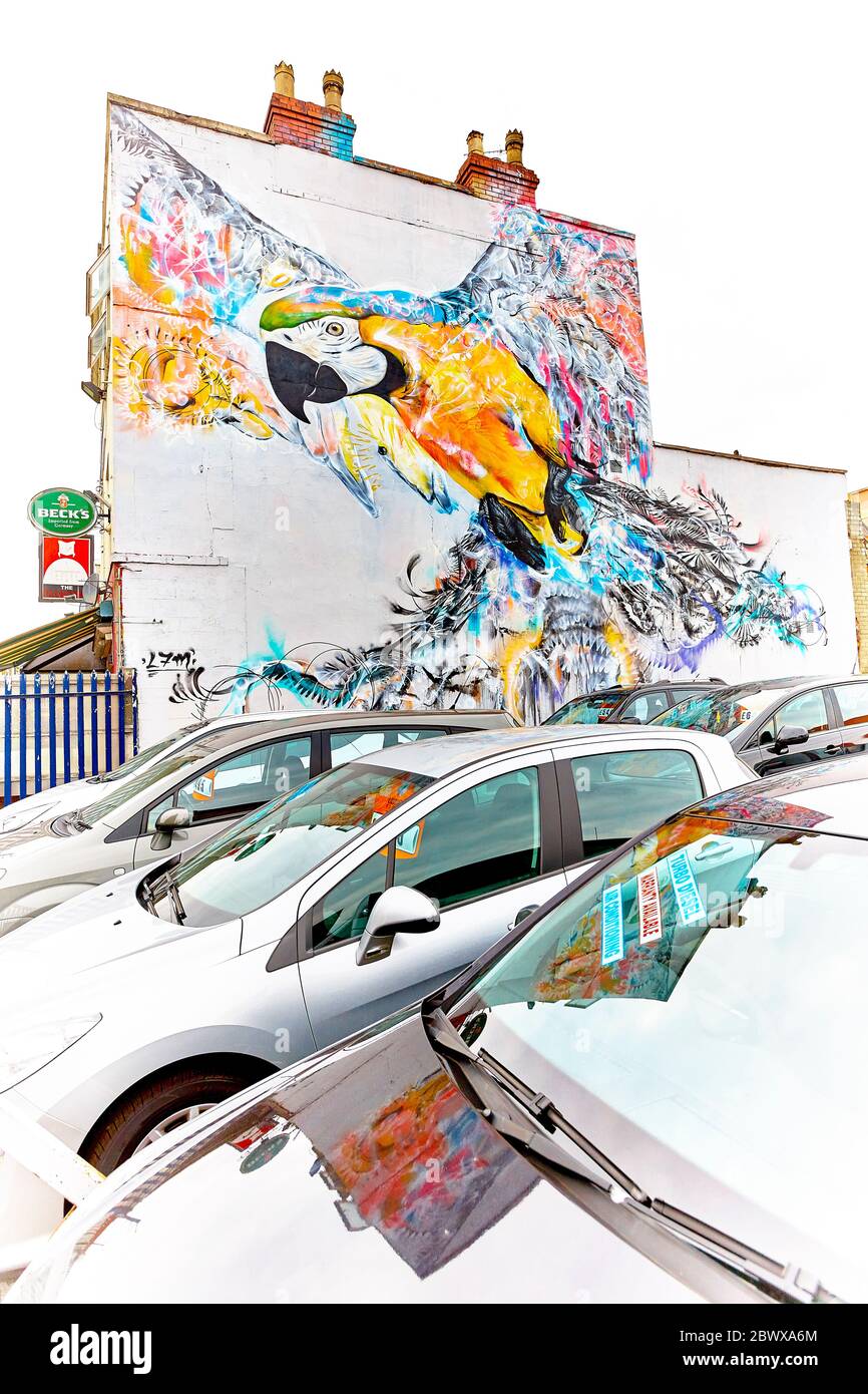 Murale bleue perroquet à Bristol, Royaume-Uni, Angleterre Banque D'Images