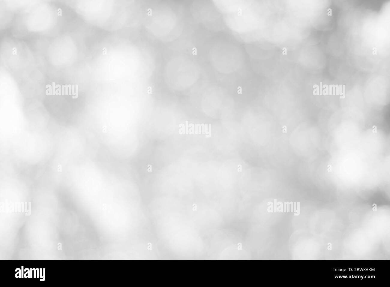 Résumé fond de bokeh blanc naturel. Banque D'Images