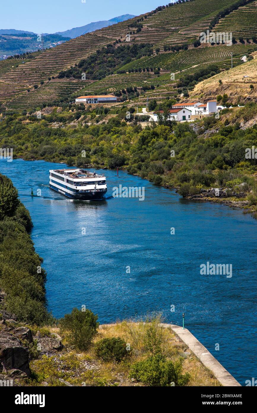 Bateau de croisière dans la vallée entouré de vignobles en terrasse le long du fleuve Douro Portugal Banque D'Images