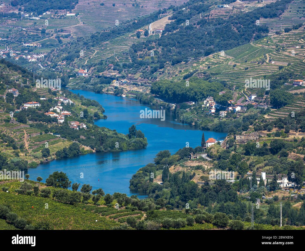 Le fleuve Douro dans la vallée entouré de vignobles en terrasse le long de la région du Douro, dans le nord du Portugal Banque D'Images