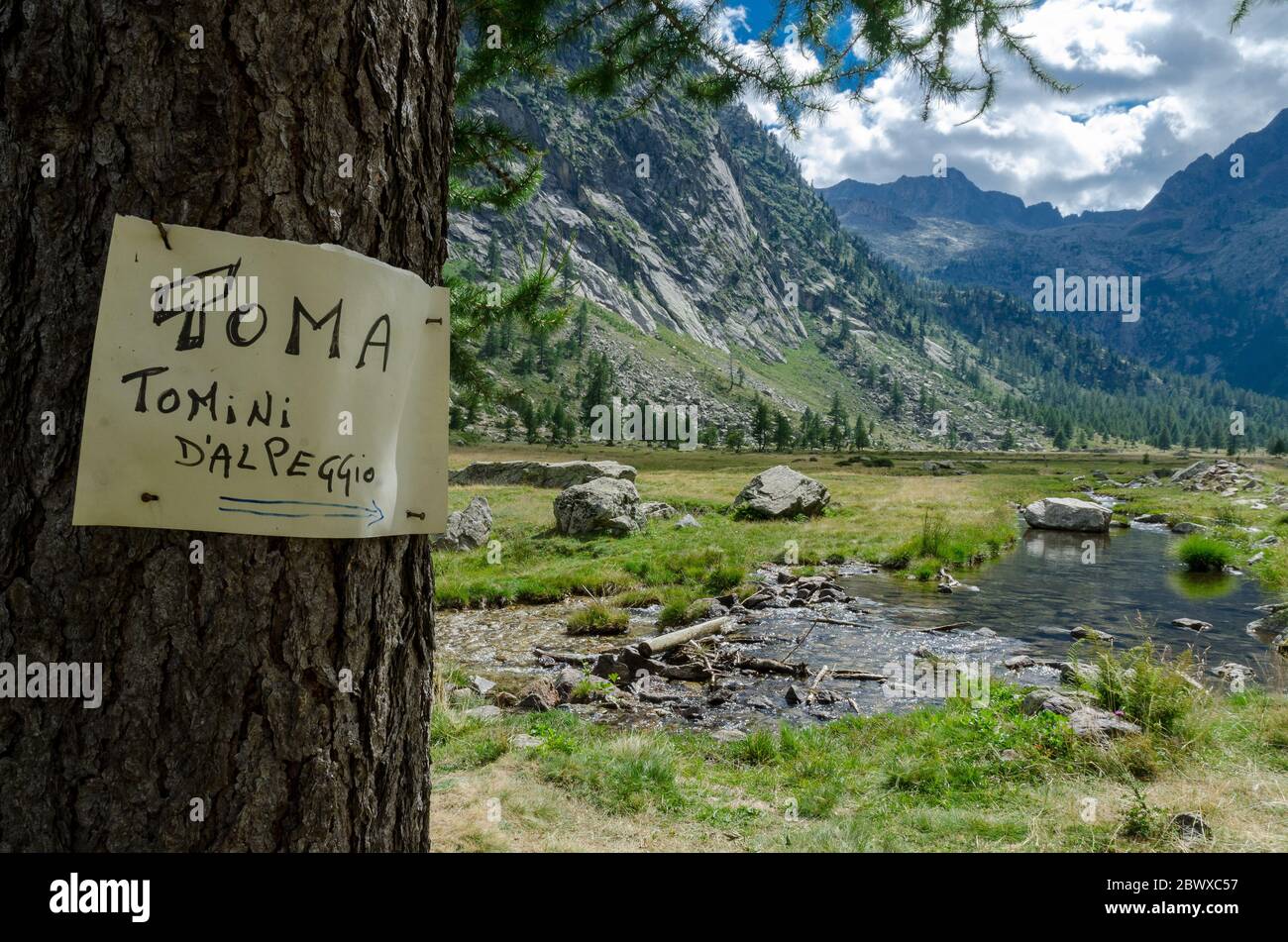 Plateau de montagne avec rivière et panneau indiquant « alp cheese » Banque D'Images