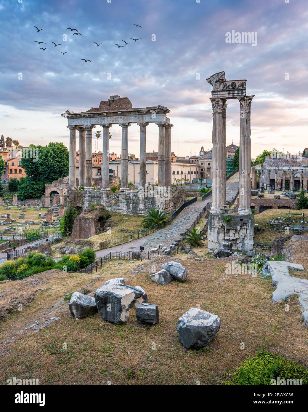 Vue panoramique sur le Forum romain au coucher du soleil. Rome, Italie. Banque D'Images