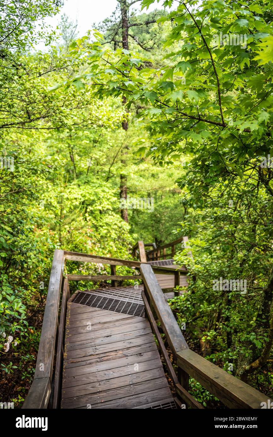 Descente en escalier dans la gorge de Tallulah, une gorge de 1000 mètres de profondeur formée par la rivière Tallulah, au parc national de Tallulah gorge près des chutes de Tallulah, en Géorgie. Banque D'Images