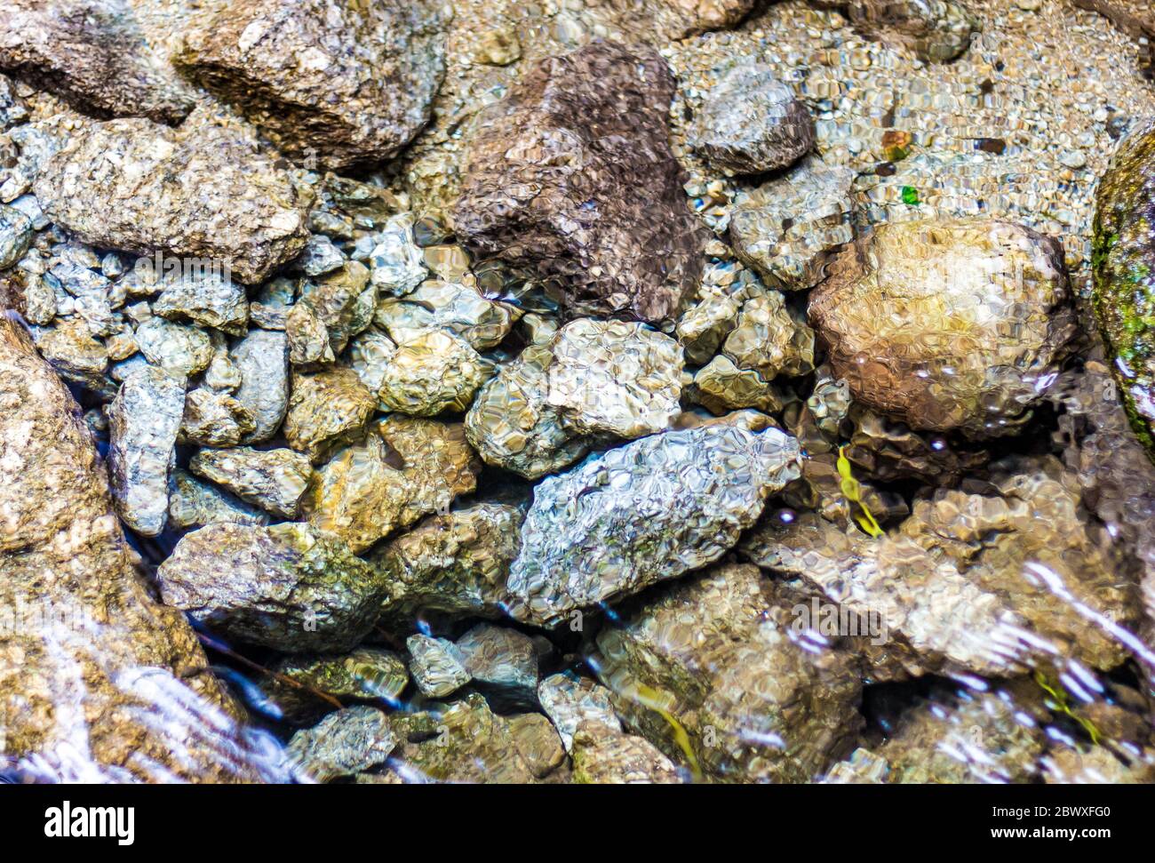 Eau cristalline dans la cascade de Panchpula, Dalhousie, Himachal Pradesh, Inde. Petits cailloux sous l'eau claire. Galets colorés dans l'eau. Banque D'Images