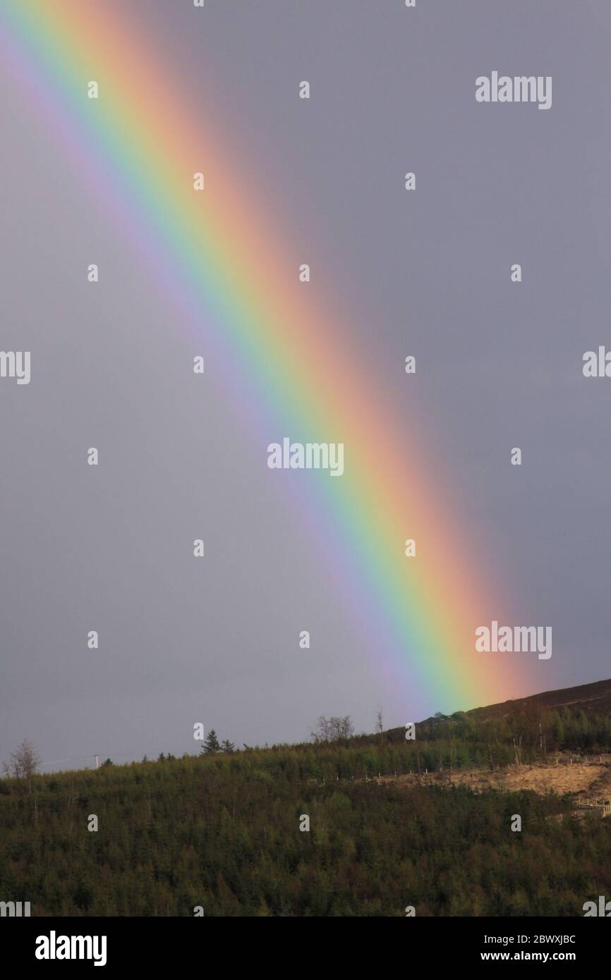 Rainbow dans la campagne irlandaise pendant votre voyage Banque D'Images