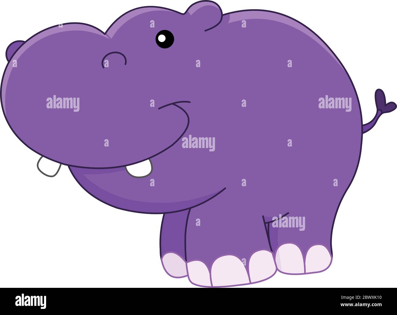 Little Hippo Banque D Image Et Photos Alamy Little Hippo Banque D Image Et Photos Alamy