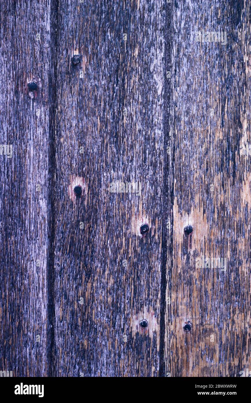 Porte d'église en bois rugueux avec clous Banque D'Images