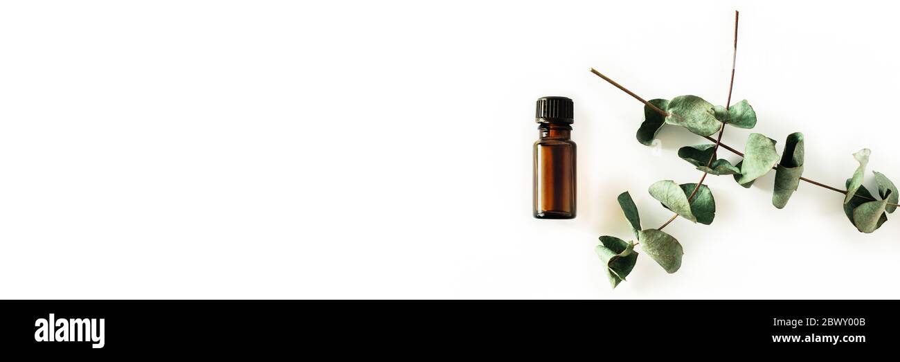 Bouteille d'huile cosmétique ou essentielle parfumée sur fond blanc entourée de branches d'eucalyptus. Restez à la maison et soyez mentalement en bonne santé. Banque D'Images