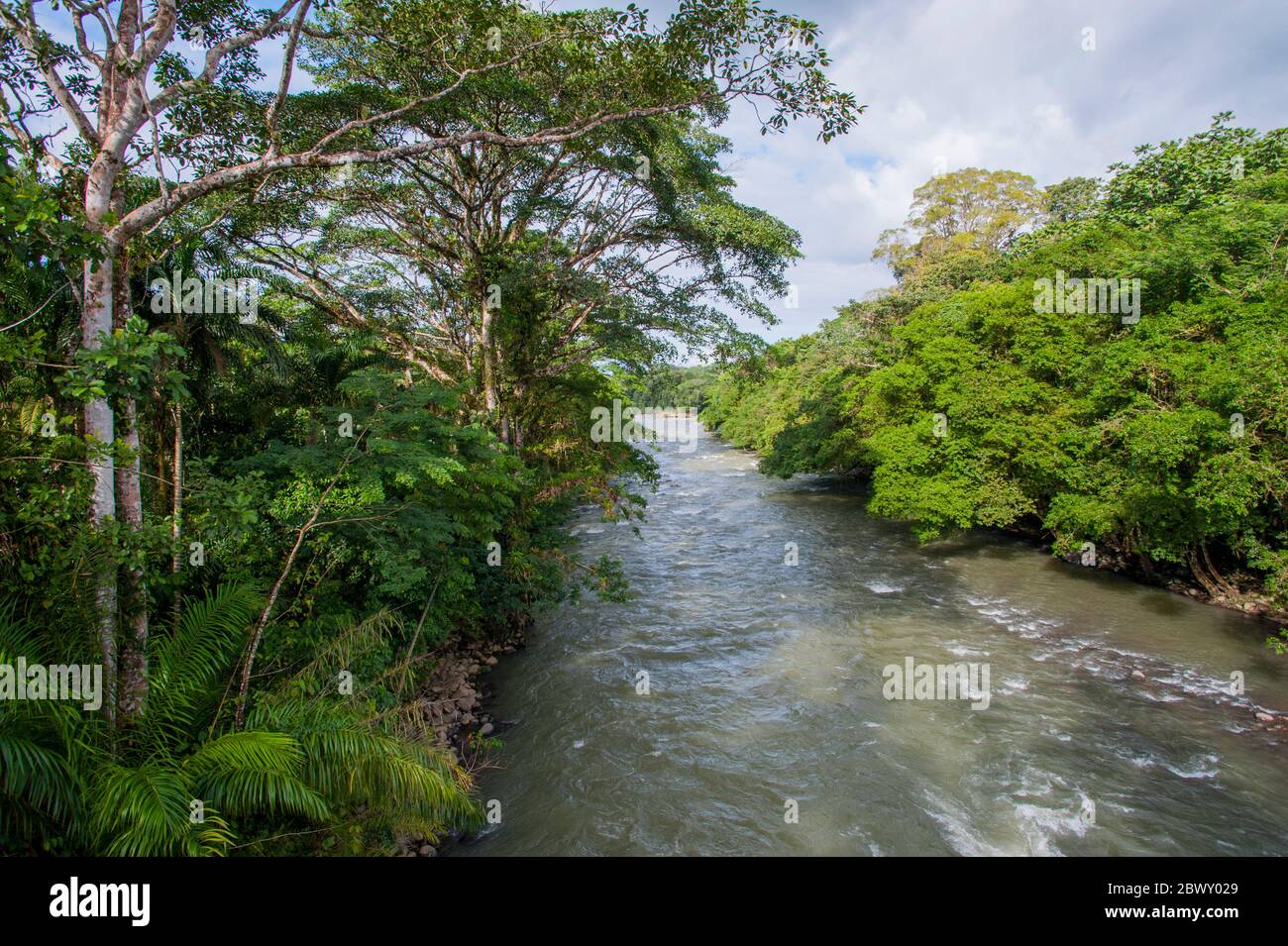 Vue sur la rivière Sarapiqui depuis un passage couvert dans la forêt tropicale de la Réserve biologique de Tirimbina près de Virgen de Sarapiqui au Costa Rica. Banque D'Images