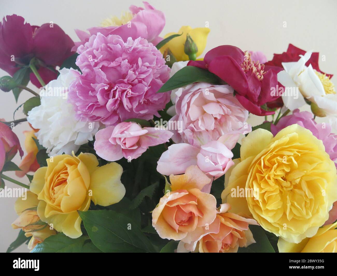 Grandes fleurs coupées et soufflées pour la maison, un montage de roses colorées et de pivoines d'un jardin de cottage anglais. Banque D'Images