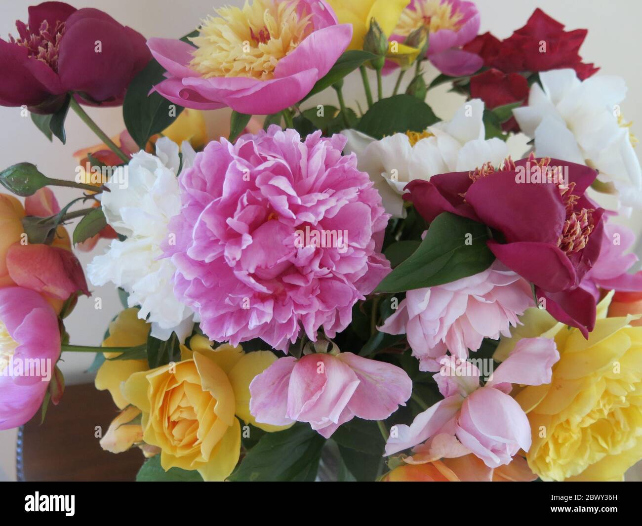 Grandes fleurs coupées et soufflées pour la maison, un montage de roses colorées et de pivoines d'un jardin de cottage anglais. Banque D'Images