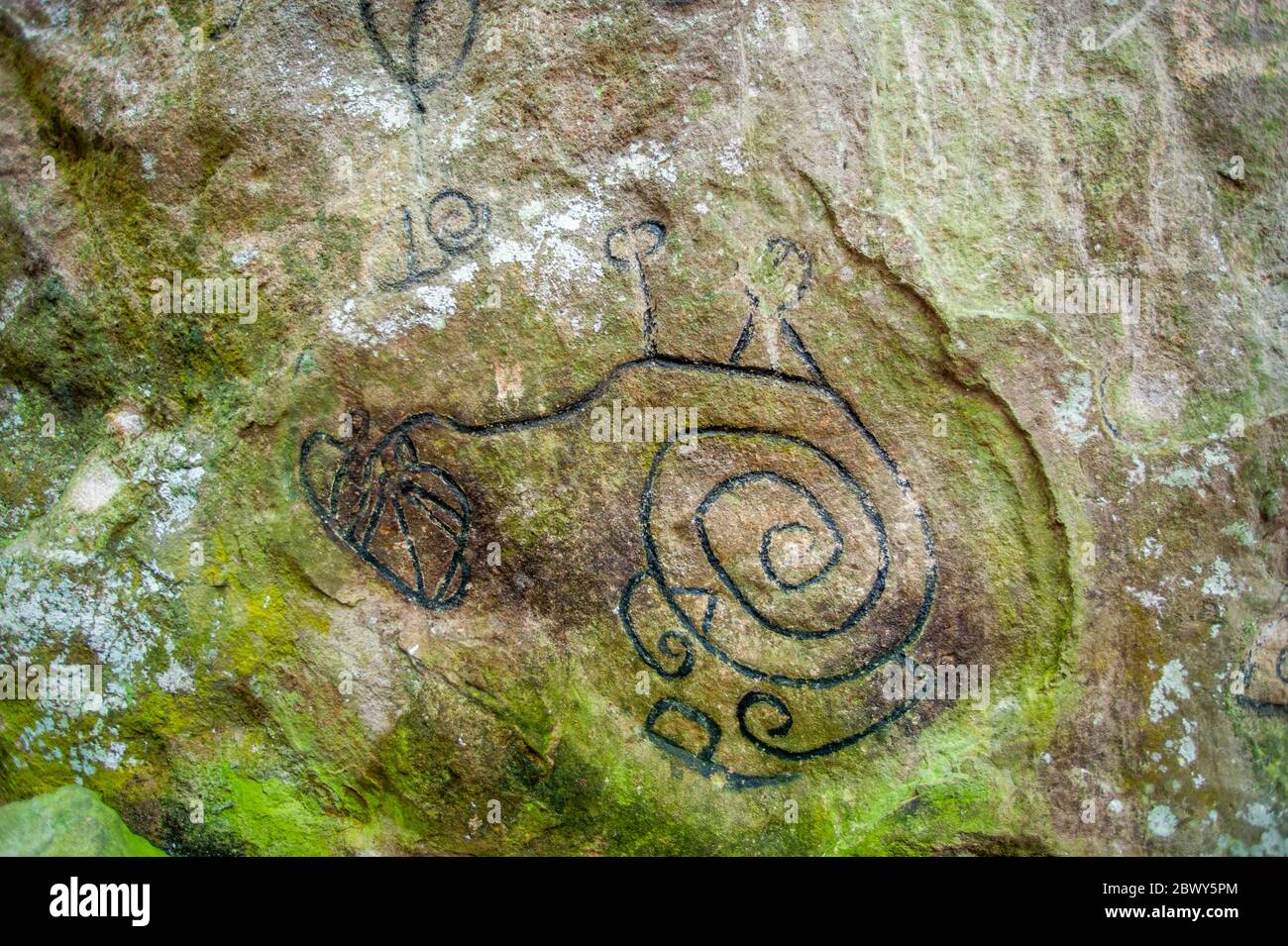 Pétroglyphes et sculptures sur Piedra Pintada, un rocher géant, dans la Valle de Anton près de Panama City, Panama datant de l'époque pré-colombienne possible Banque D'Images