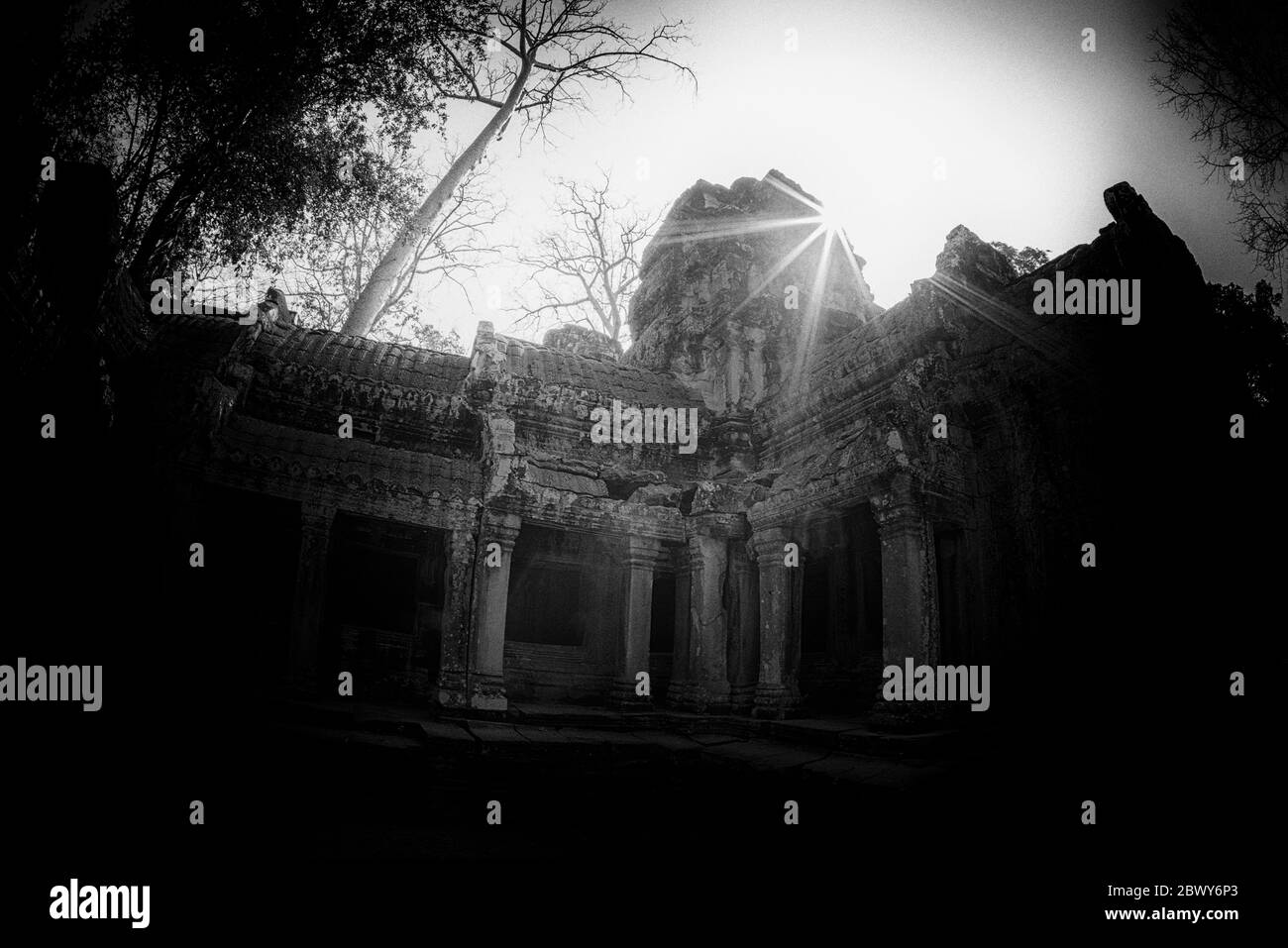 Image en noir et blanc de trou d'épingle au temple de Ta Prohm à Siem Reap, Cambodge Banque D'Images
