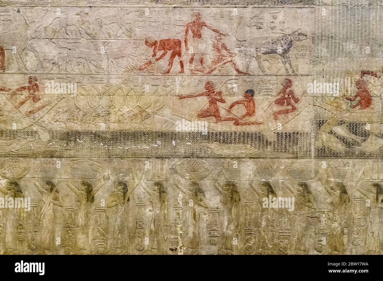Le mur nord de la chapelle de la mastaba de Ty est dédié à la parade des domaines et à la traversée d'une ford par un troupeau de neuf bovins Banque D'Images