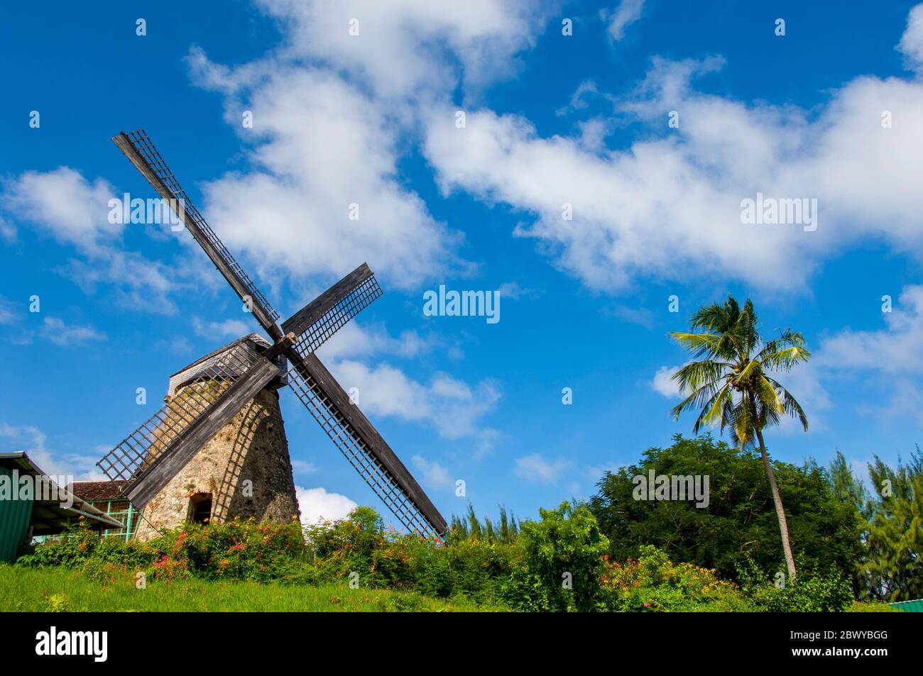 Le moulin à sucre Morgan Lewis à l'intérieur de la Barbade, une île dans les Caraïbes. Banque D'Images