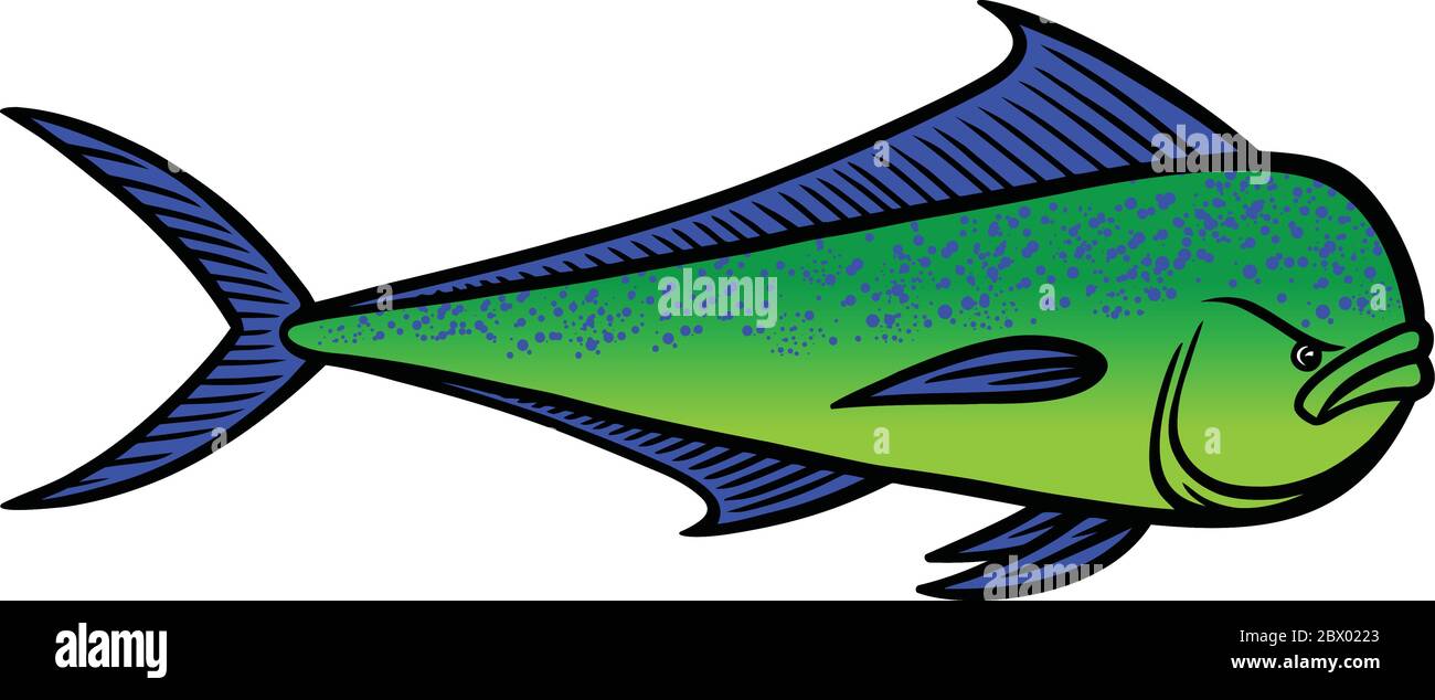 Poisson Mahi Mahi une illustration d'un poisson Mahi Mahi Image