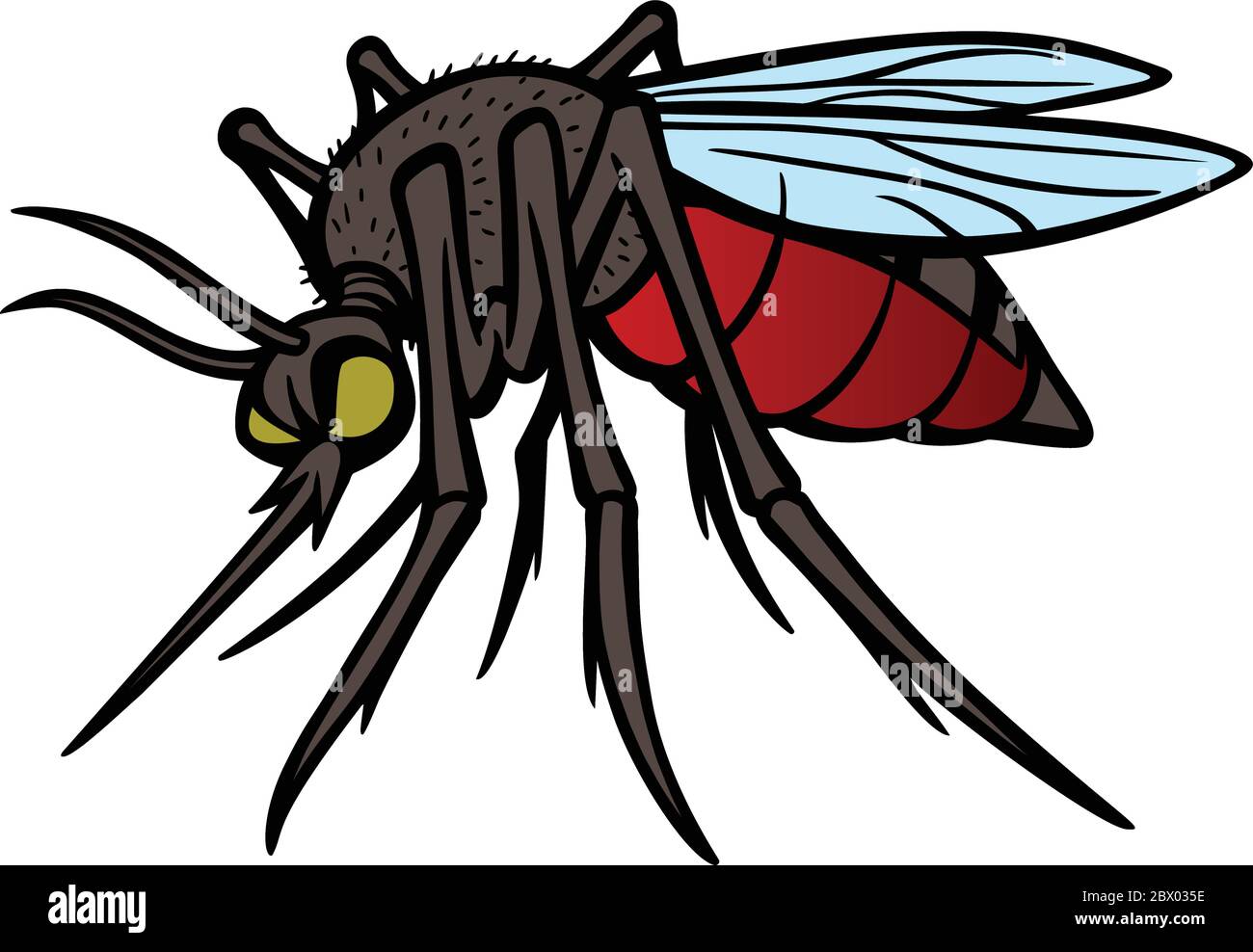 Mosquito- une illustration d'un Mosquito. Illustration de Vecteur