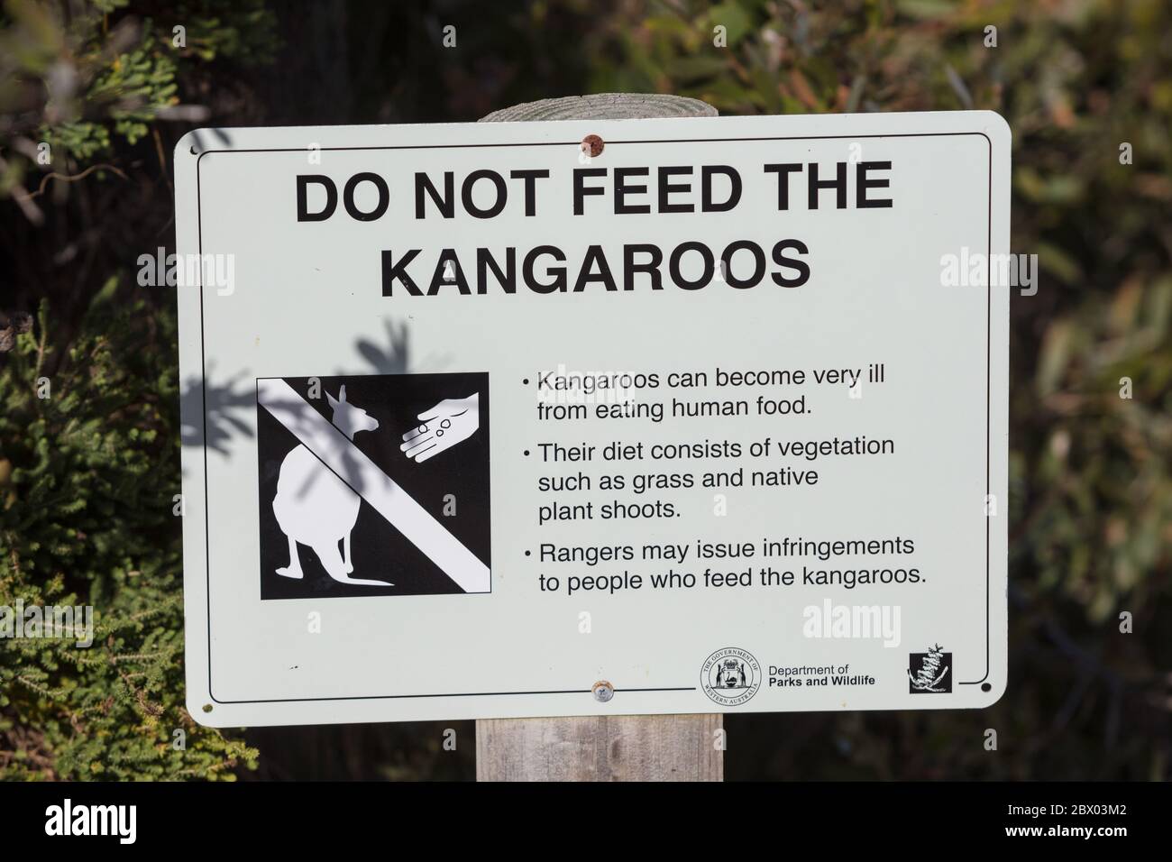 Lucky Bay Australie occidentale 11 novembre 2019 : panneau sur la plage à Lucky Bay avertissement de ne pas nourrir les kangourous Banque D'Images