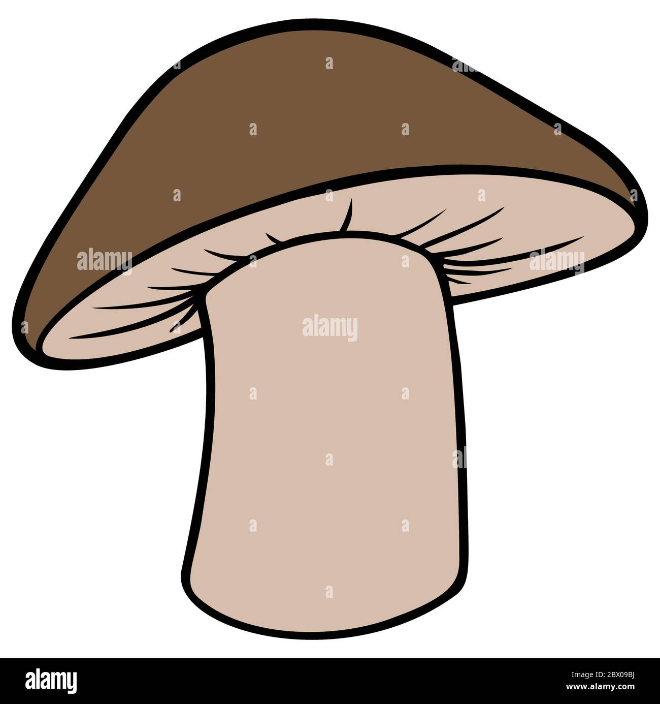 Mushroom Shittake - une illustration d'un Mushroom Shittake. Illustration de Vecteur