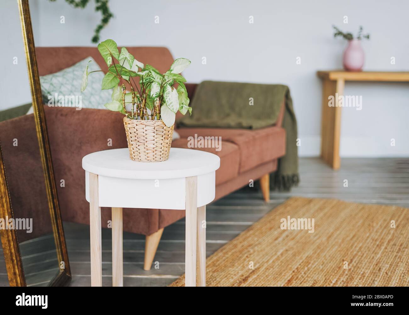 Plante maison verte en osier sur table blanche dans le salon confortable, intérieur scandinave Banque D'Images