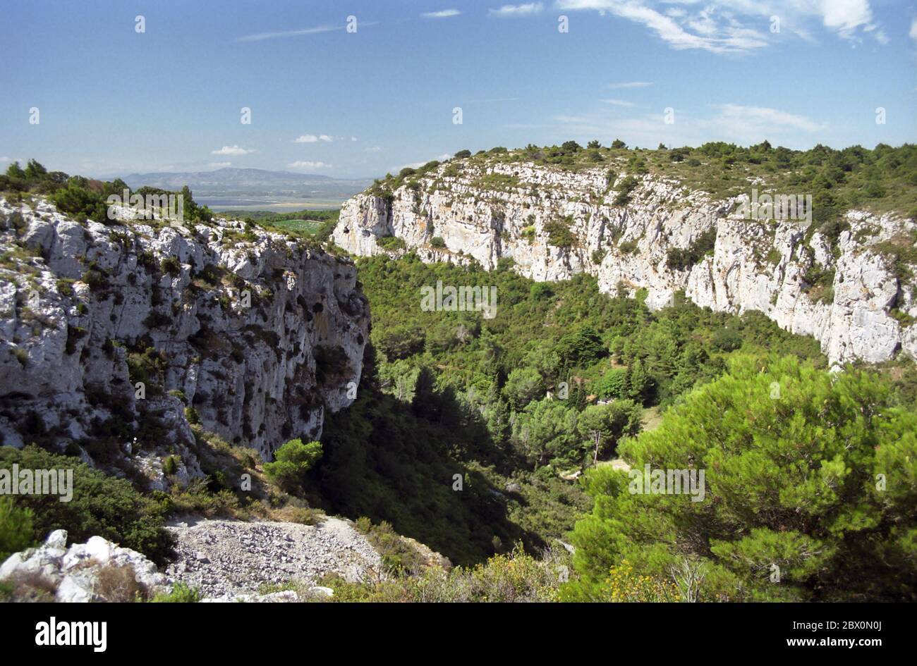 Ravin près de Figuières sur le massif de la Clape, Gruissan, Aude, Occitanie, France Banque D'Images