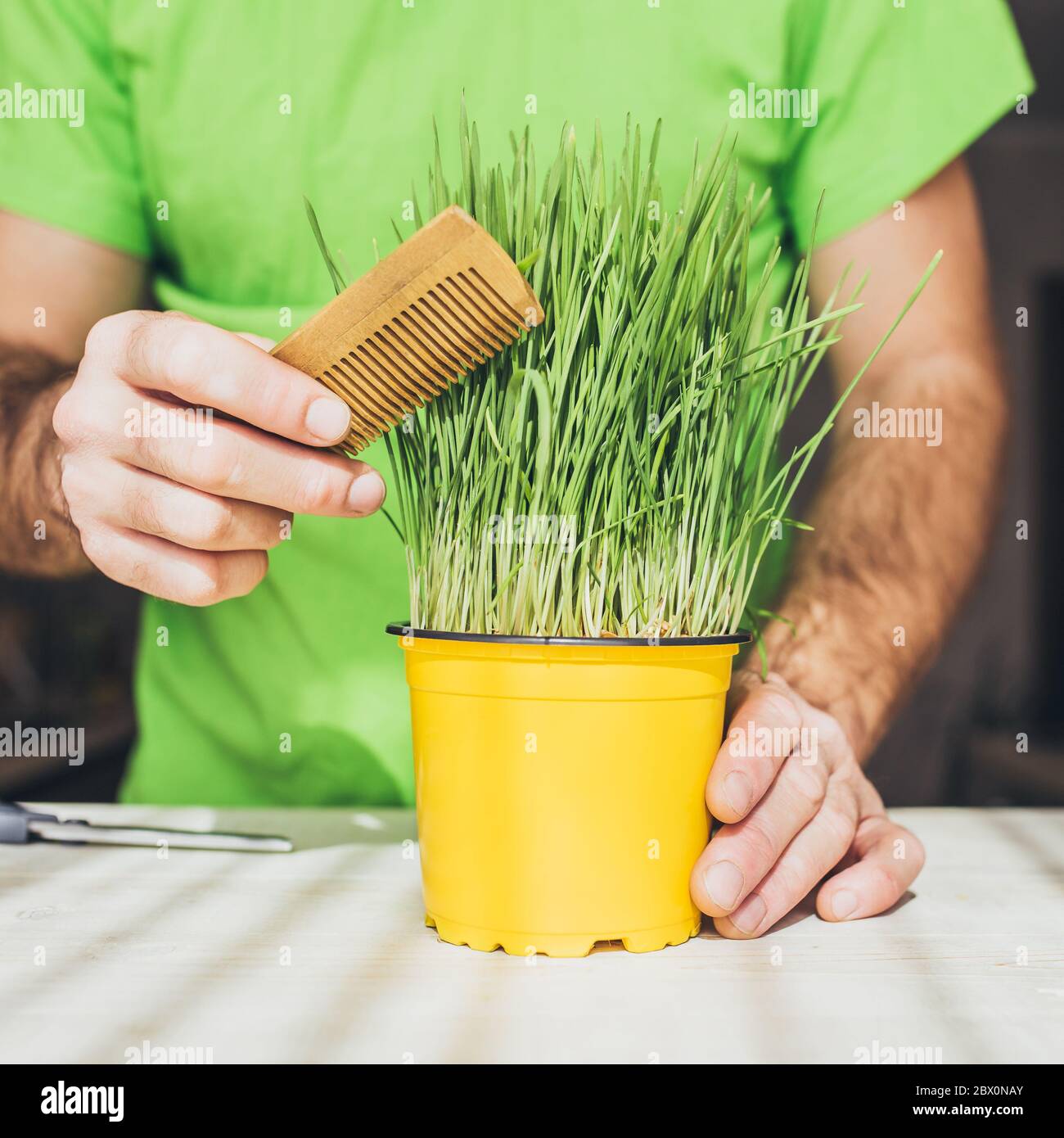 Un homme crée une coiffure à l'herbe verte - concept de coiffure et de coiffure - jardinage Banque D'Images