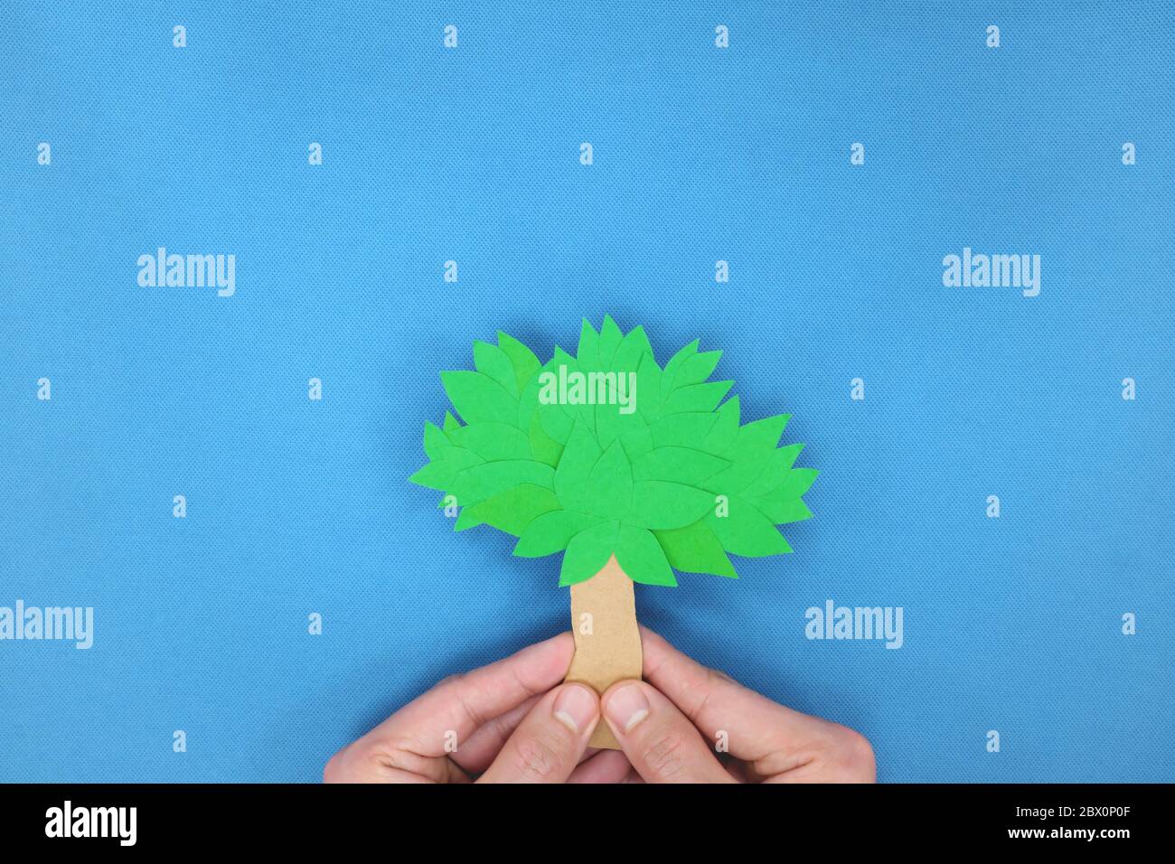 Plante un arbre, concept de reboisement. Mains tenant un arbre sur fond bleu. Découpe en carton Banque D'Images
