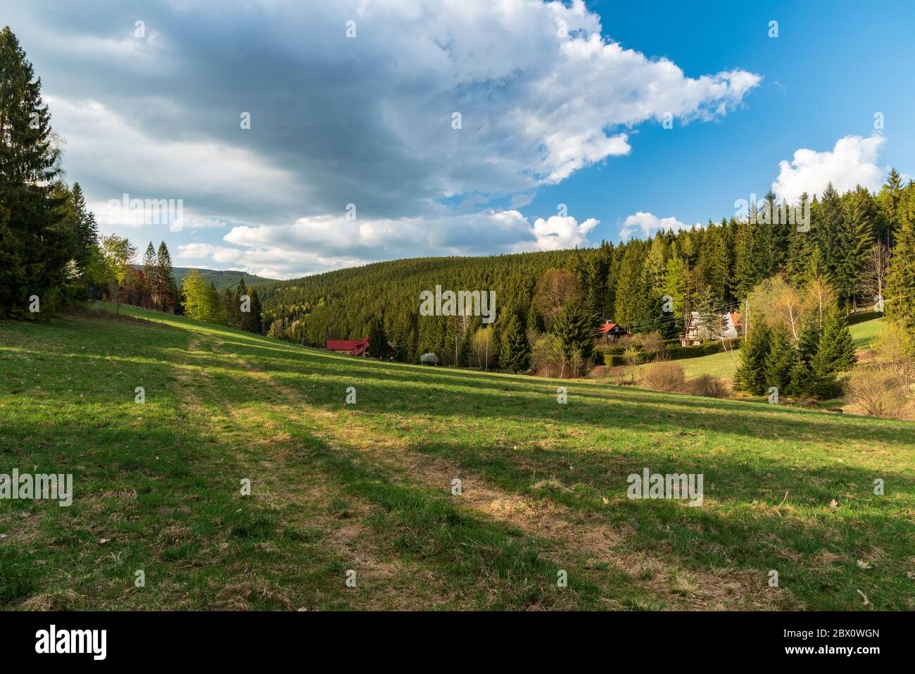 Soirée de printemps sur Visalaje à Moravskoslezske montagnes Beskydy en République tchèque avec prairie, forêt, quelques maisons, colline sur fond et bleu Banque D'Images