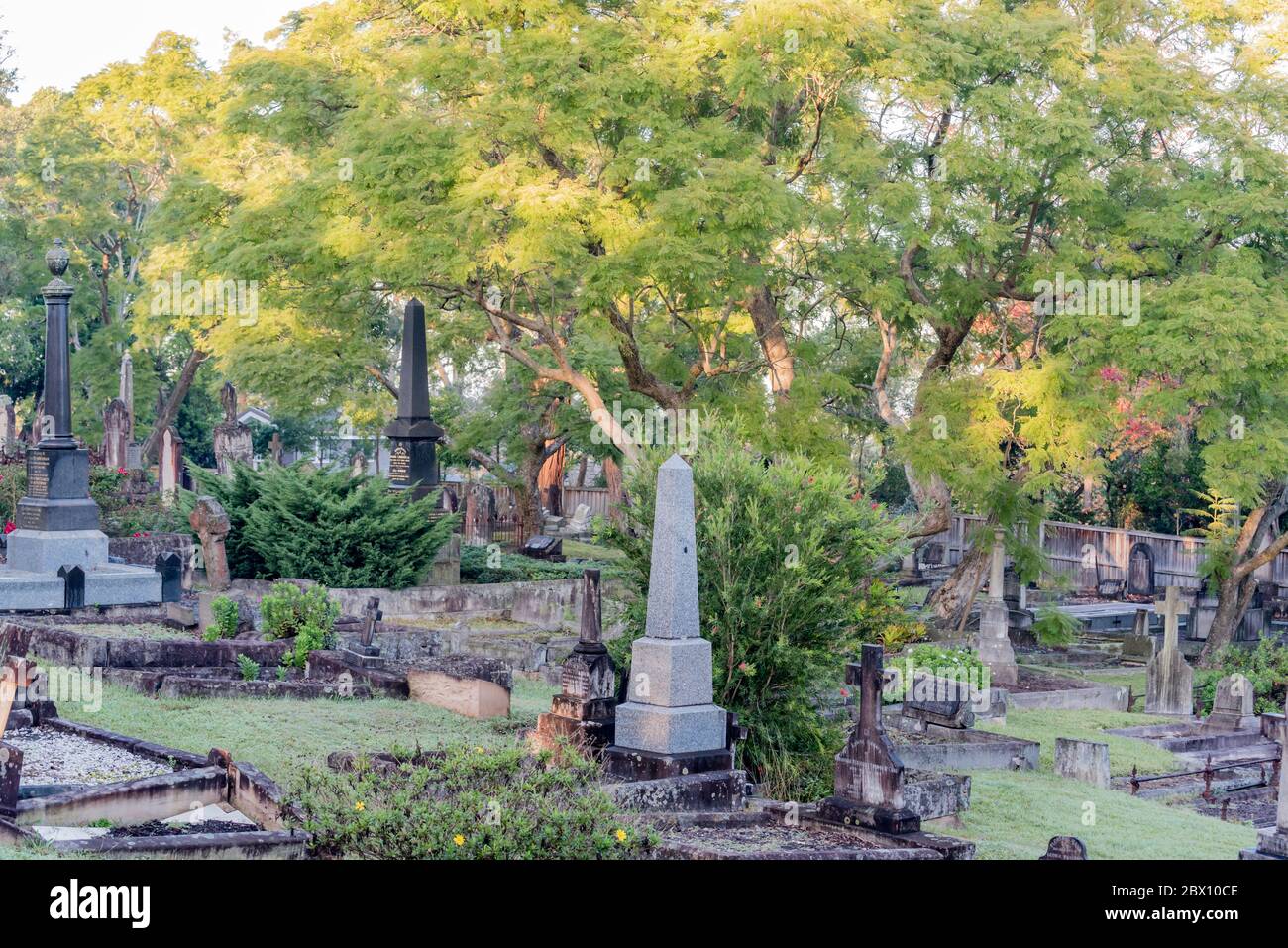 Le cimetière à l'arrière de l'église anglicane St Johns, Gordon, en juin 2020, est vert et luxuriant après les récentes pluies. Voir ID comparatif : R6H2M1 Banque D'Images