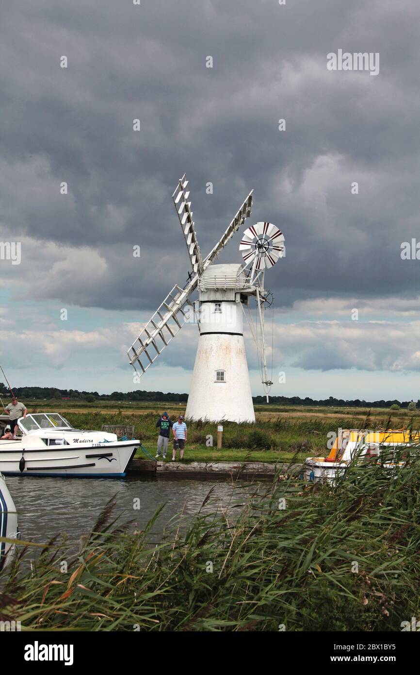 Norfolk Windmills sur les Norfolk Broads Banque D'Images