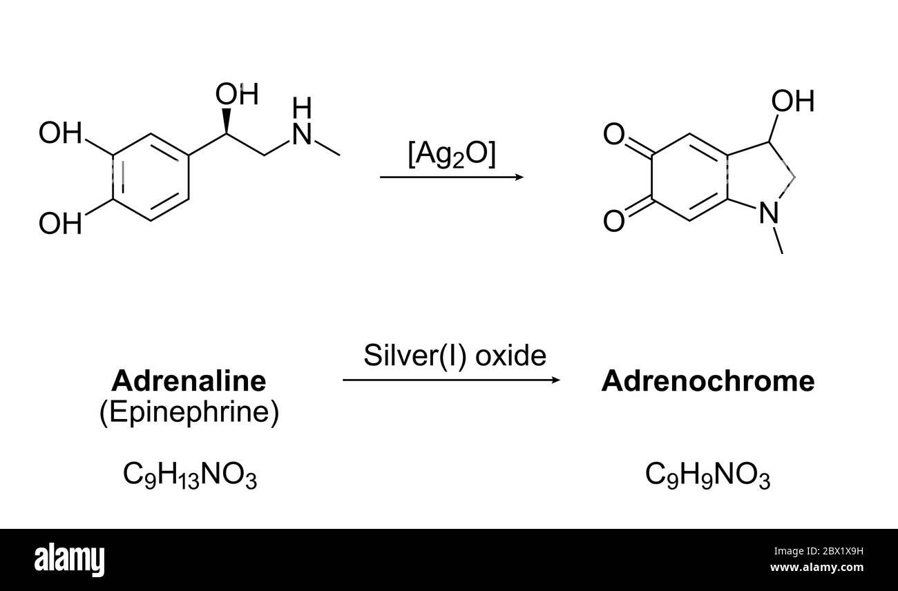 Synthèse de l'adrénochrome, équation chimique. Oxydation de l'adrénaline (épinéphrine) par l'oxyde d'argent(I). Molécules, formules et structures squelettiques. Banque D'Images