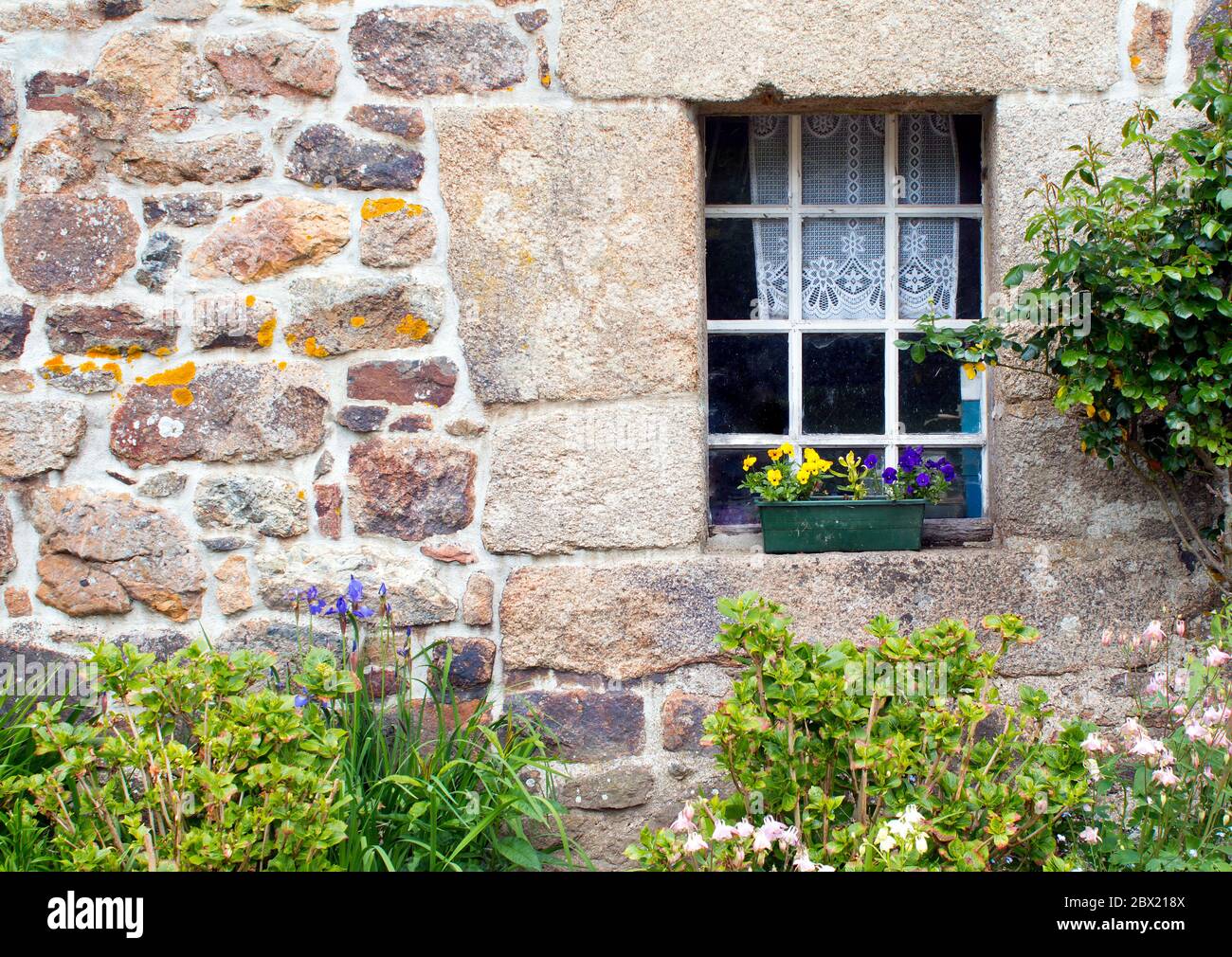 Fenêtre rustique en gite française décorée de plantes en Bretagne Banque D'Images