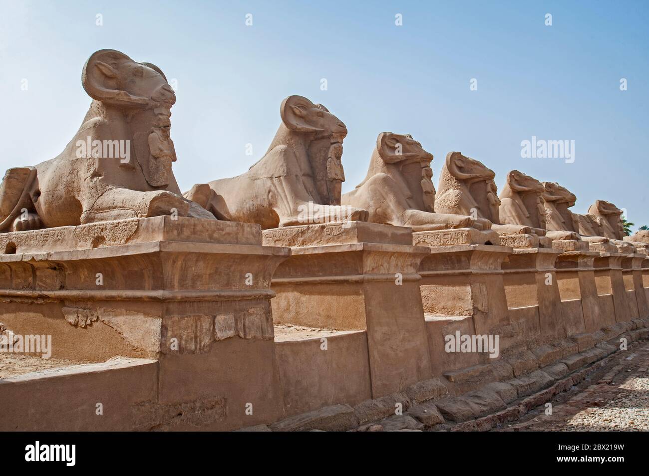 Un ancien bélier égyptien a dirigé des statues de sphinx en pierre dans une rangée au temple de Karnak à Louxor Banque D'Images