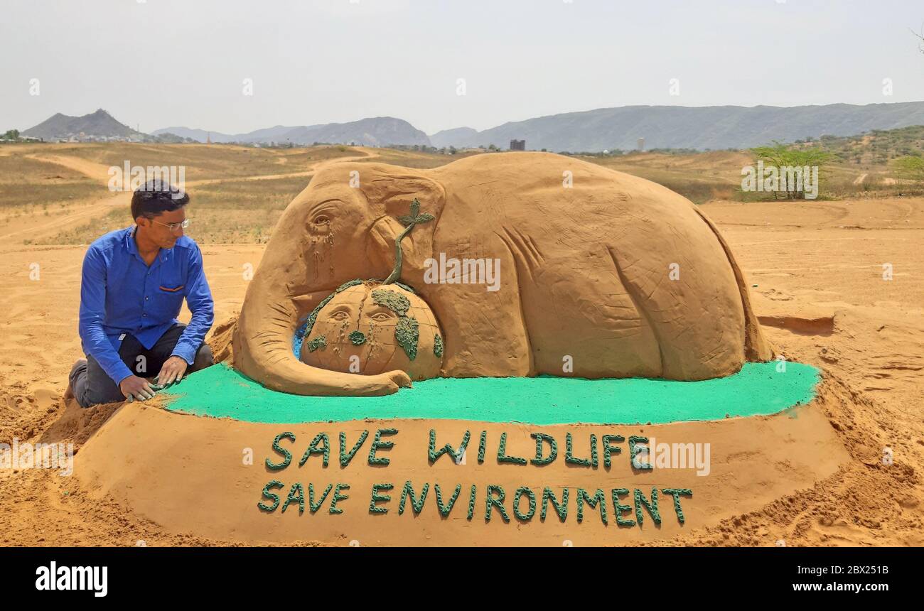 L'artiste de sable Ajay Rawat rend hommage à l'éléphant sauvage ...